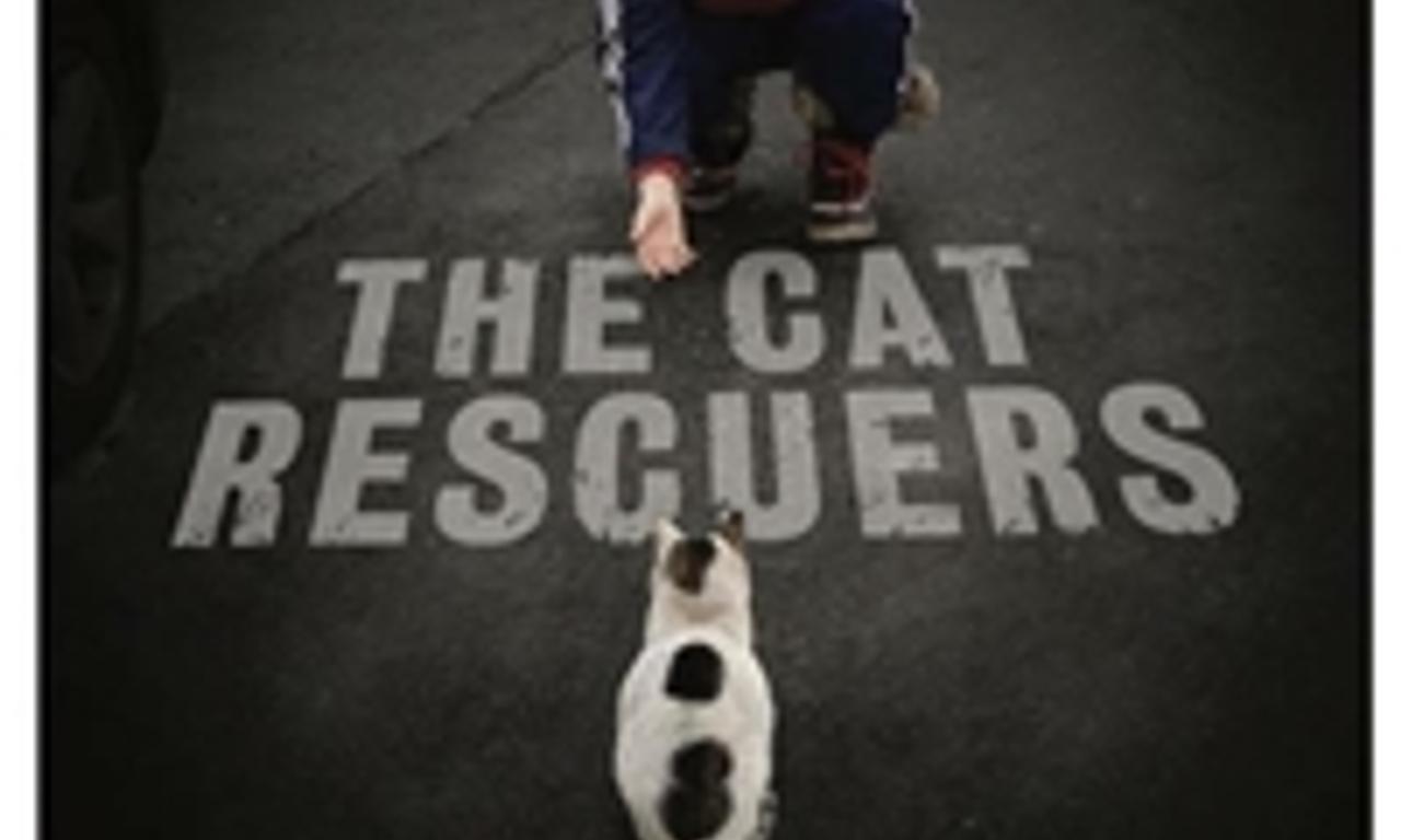 header image for The Cat Rescuers