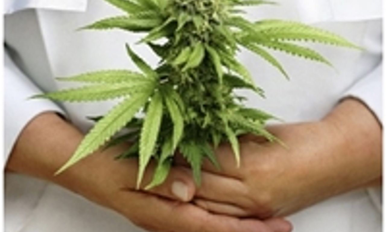 header image for Breaking Habits