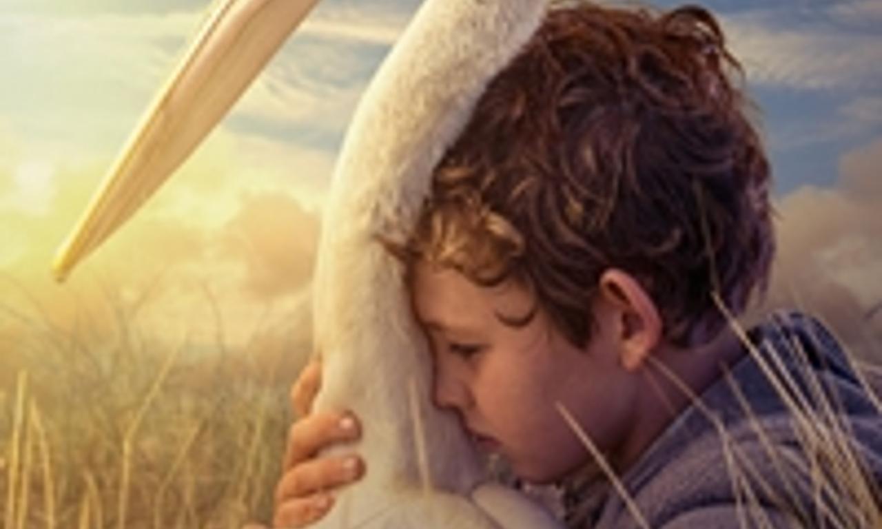 header image for Storm Boy