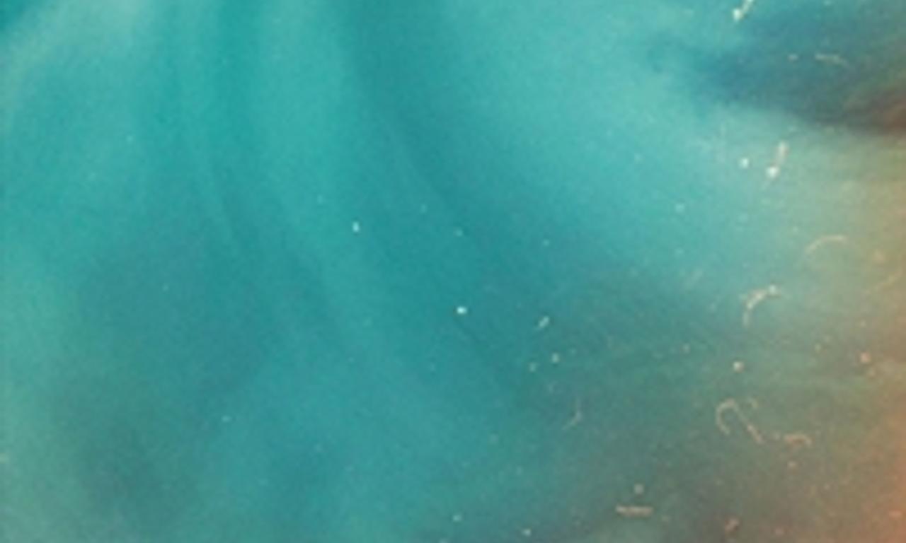 header image for Monos