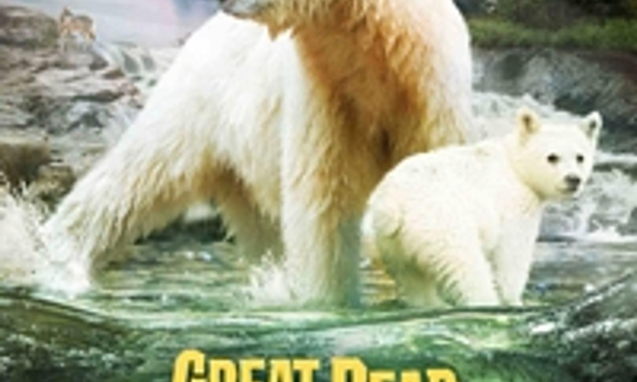 Great Bear Rainforest Land of the Spirit Bear Where to Watch and