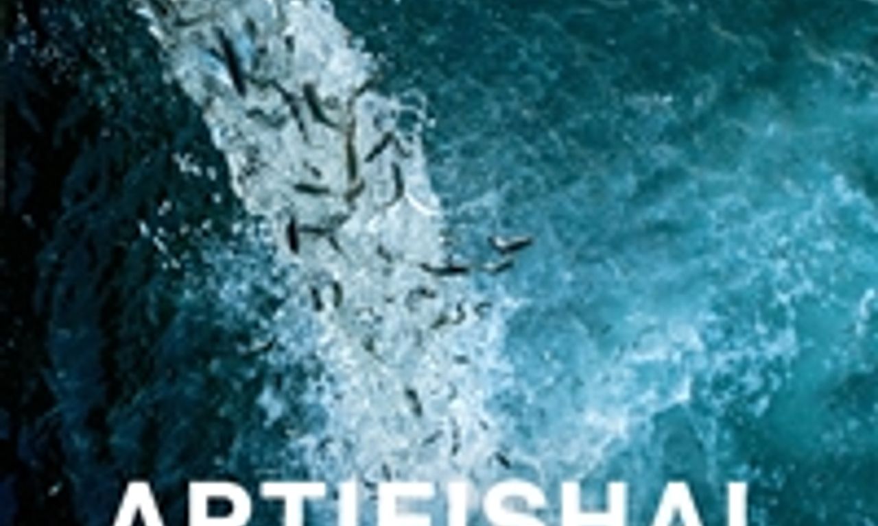 header image for Artifishal