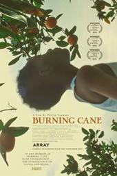 Burning Cane