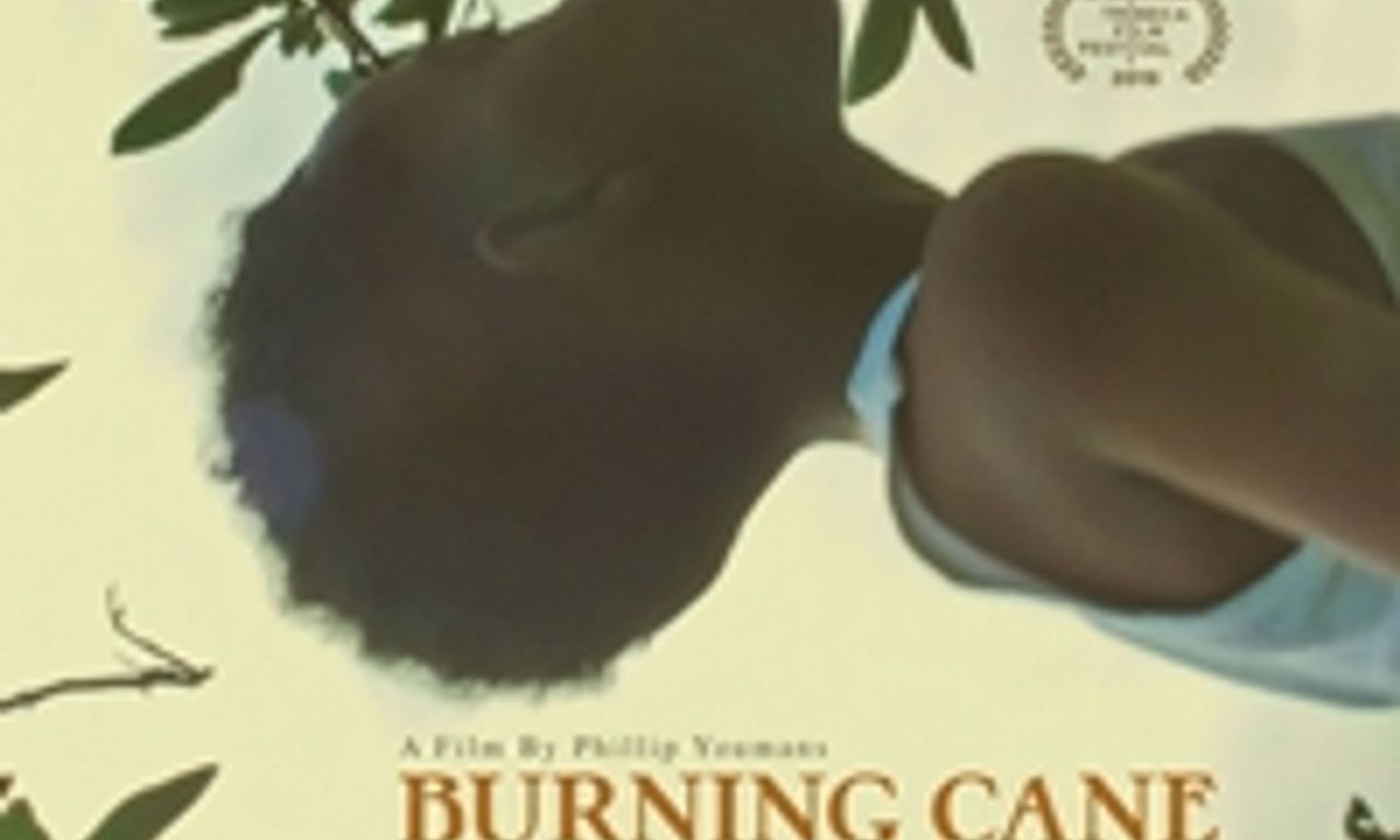 header image for Burning Cane