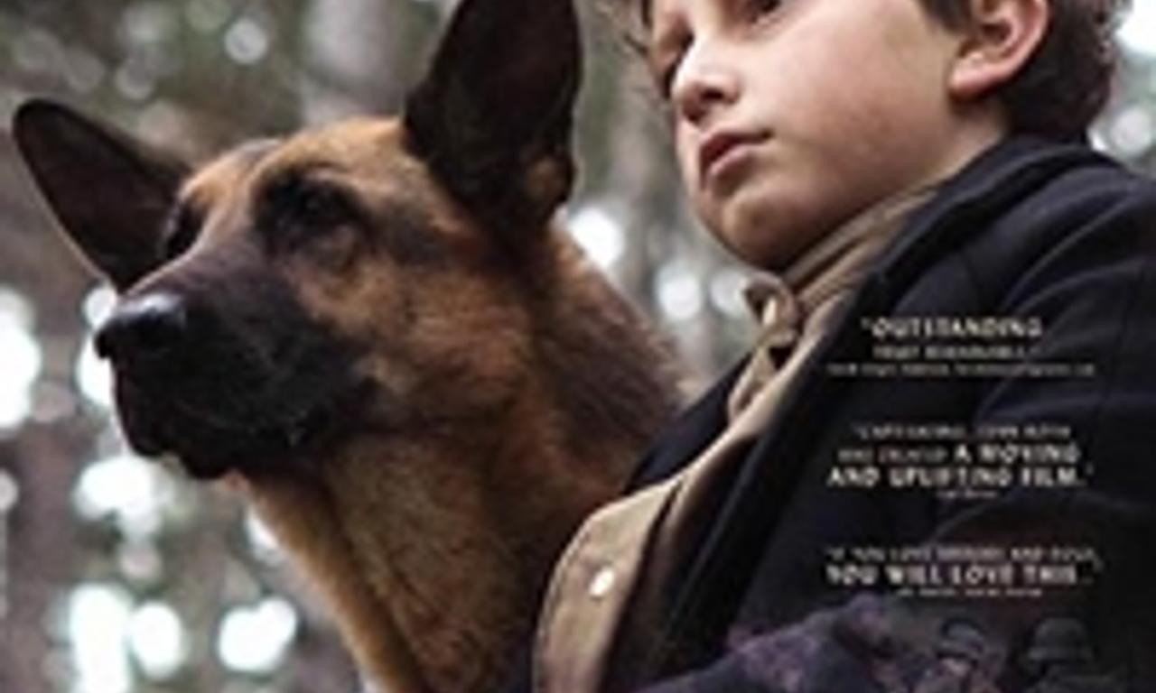 header image for Shepherd: The Hero Dog
