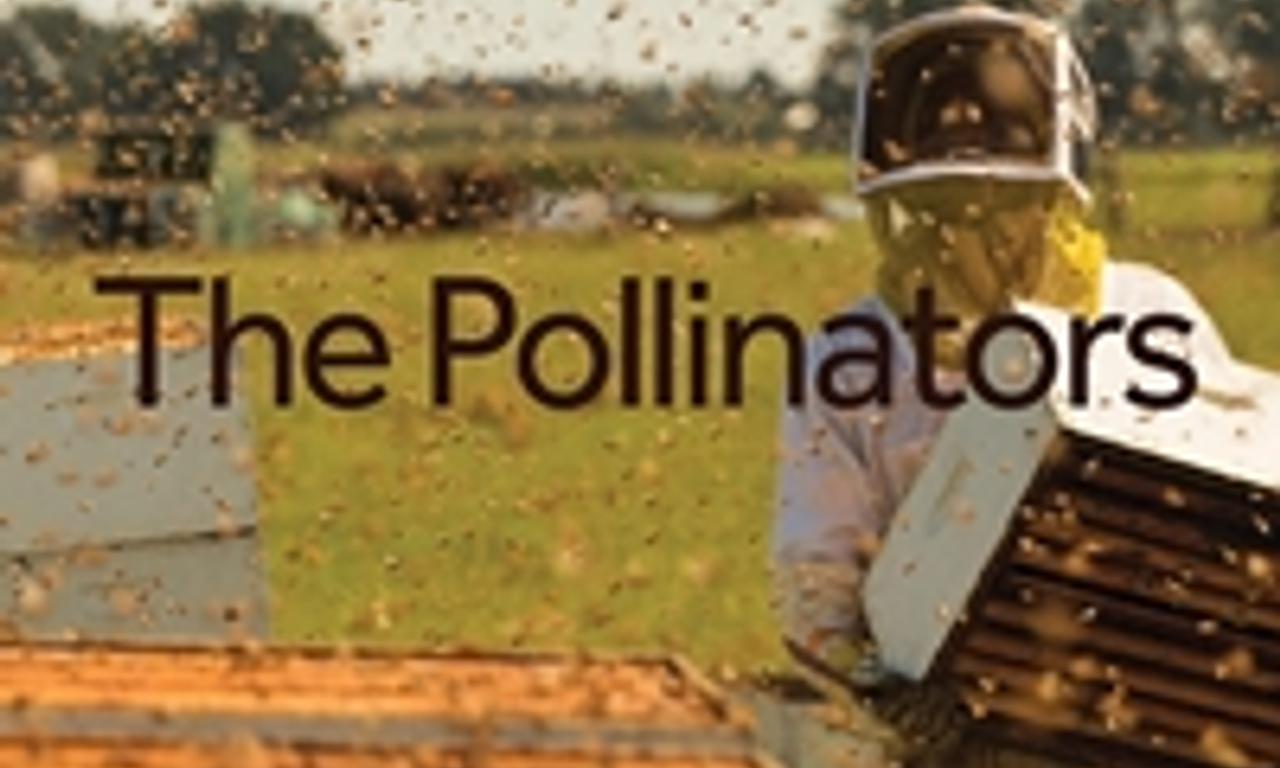 header image for The Pollinators