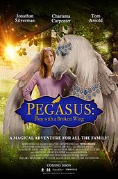 Pegasus: Pony with a Broken Wing