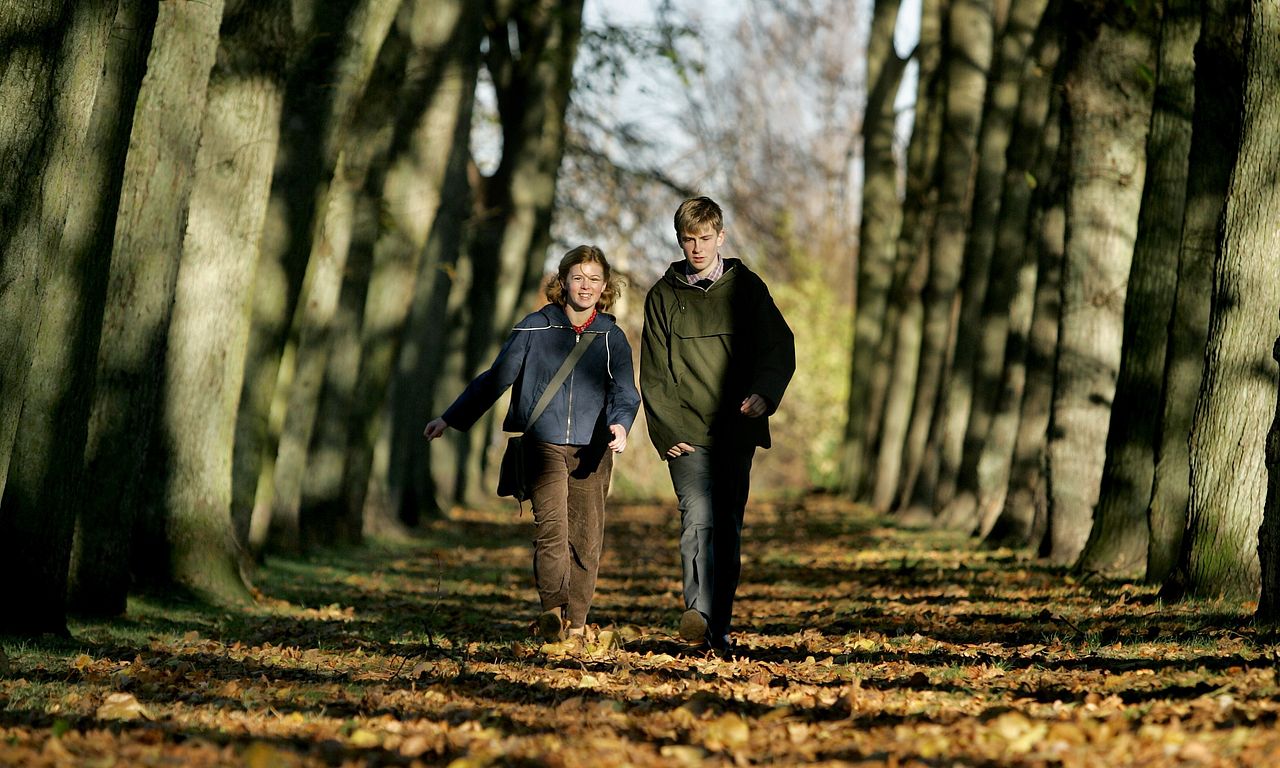 header image for Aching Hearts