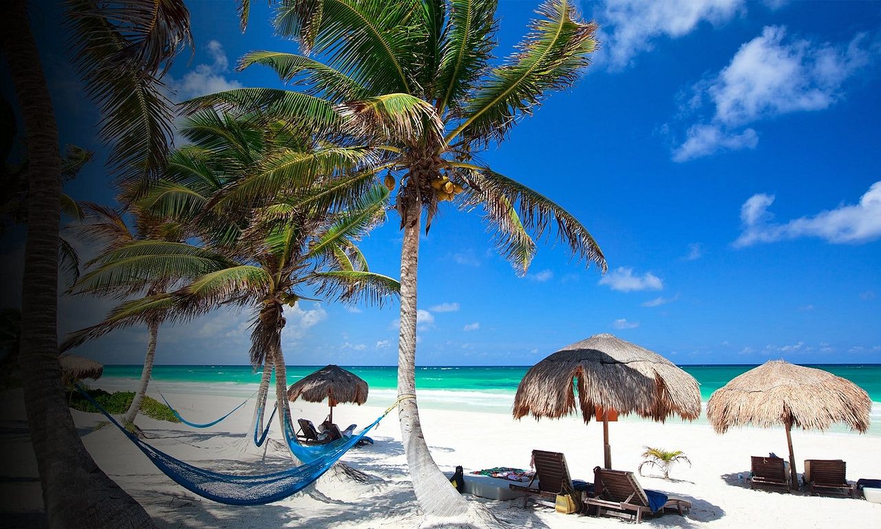 header image for Tattoo Fixers on Holiday