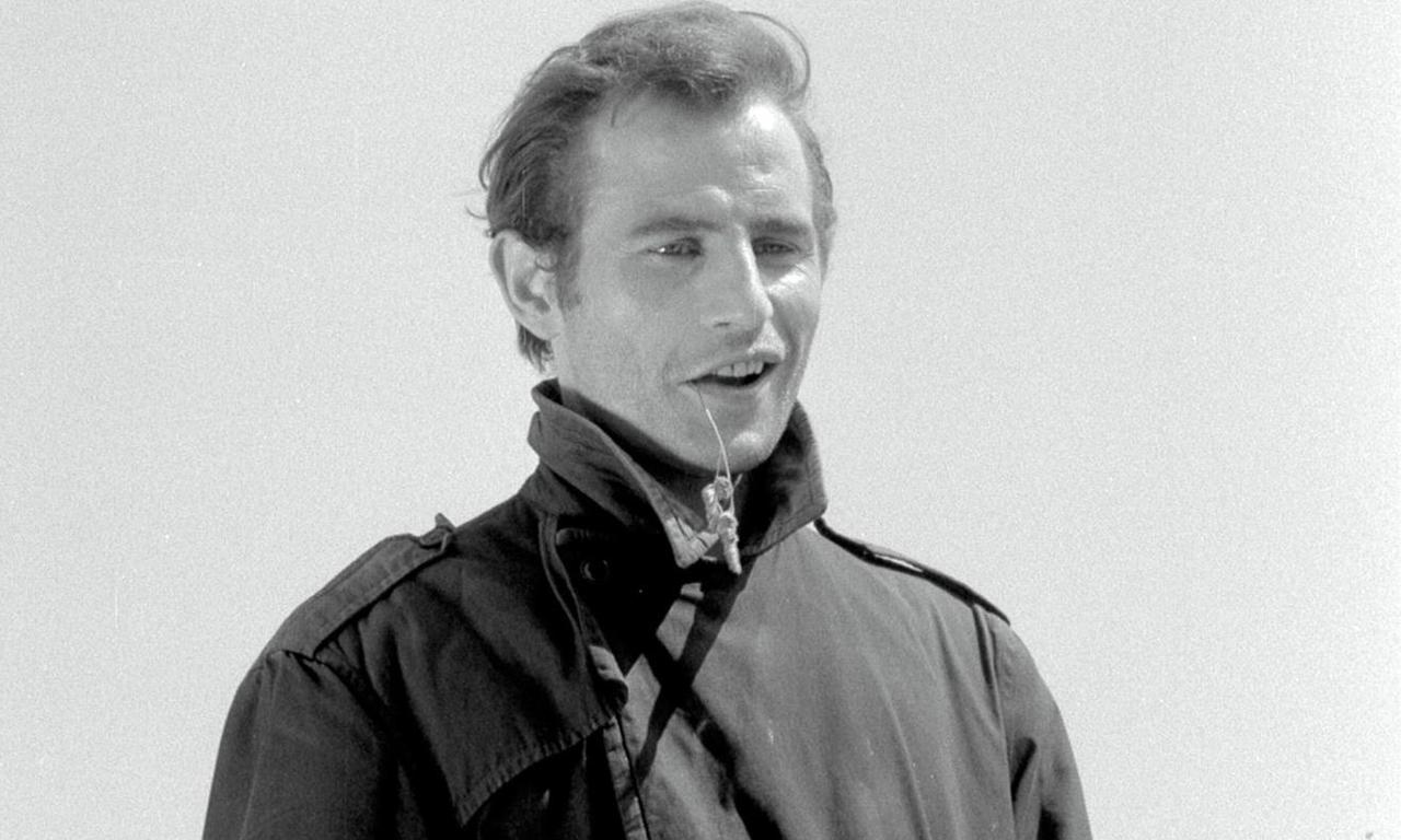 header image for Seagulls Die in the Harbour