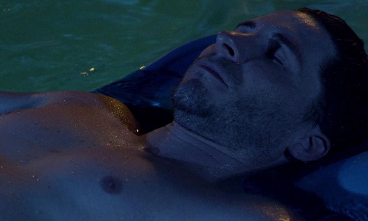 header image for Hippopotamus