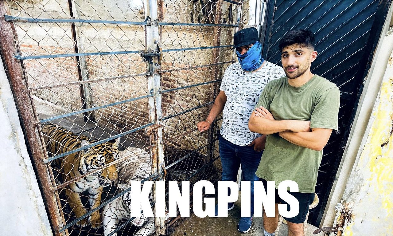 header image for Kingpins