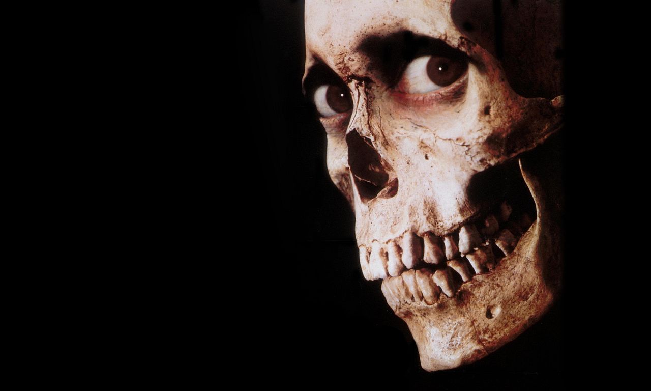 header image for Evil Dead II