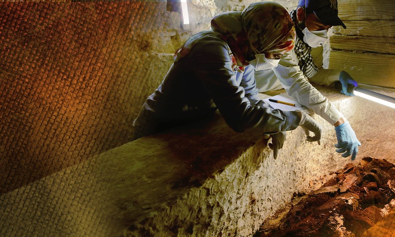 header image for Kingdom of the Mummies