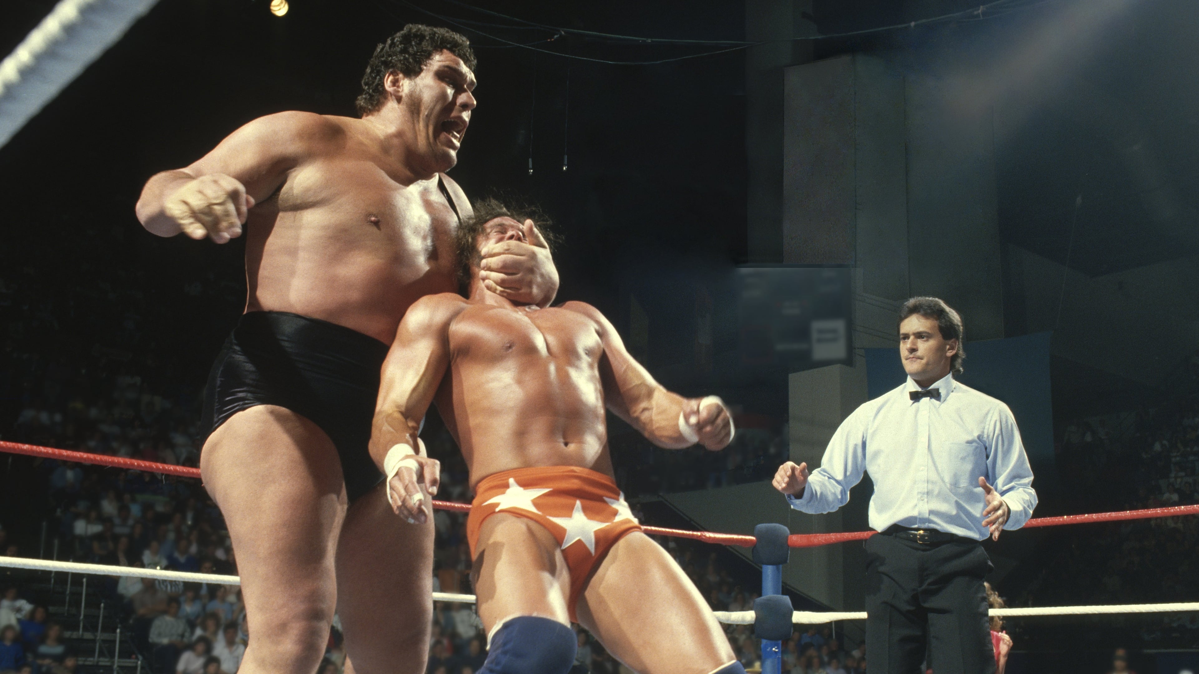 Andre the Giant Where to Watch and Stream Online