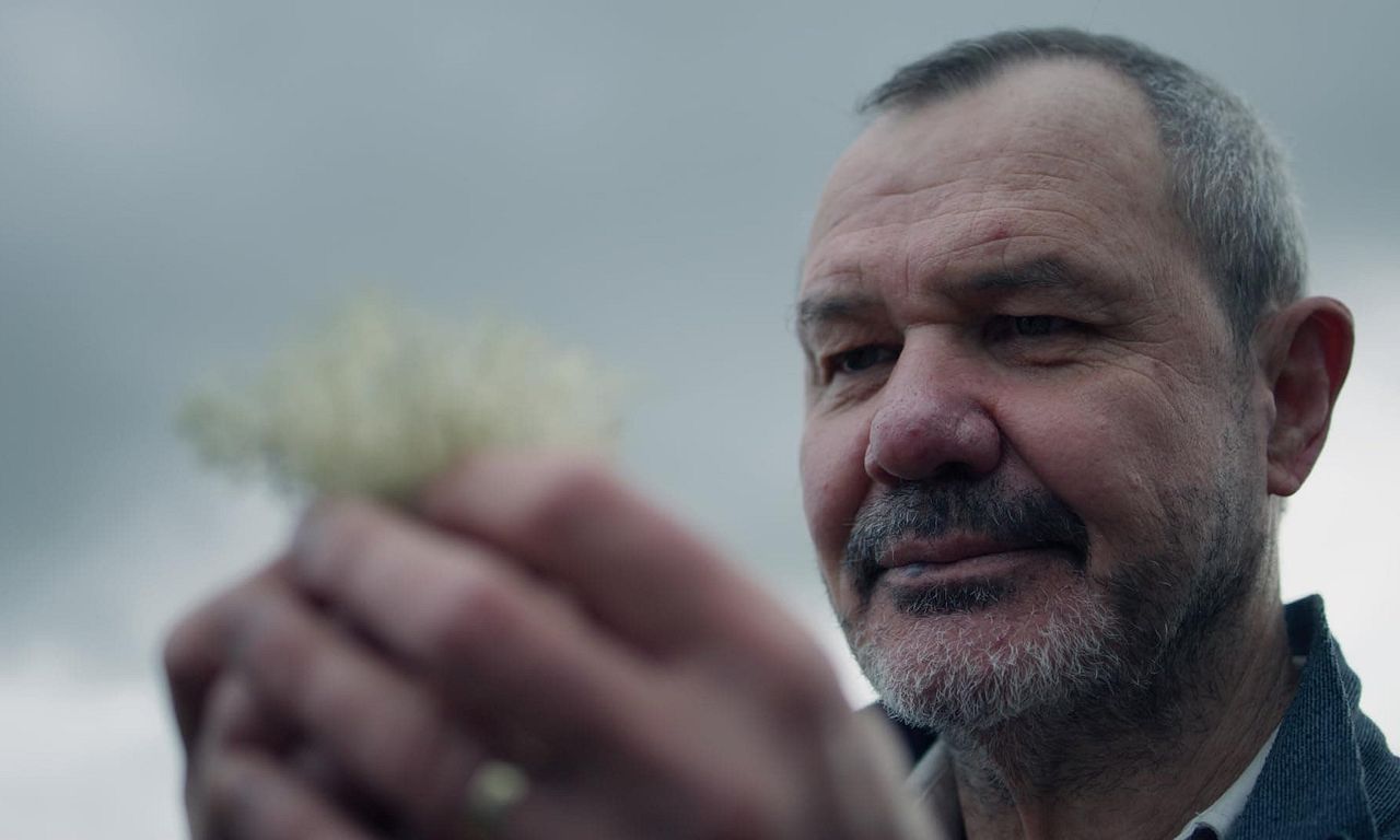 header image for Untameable