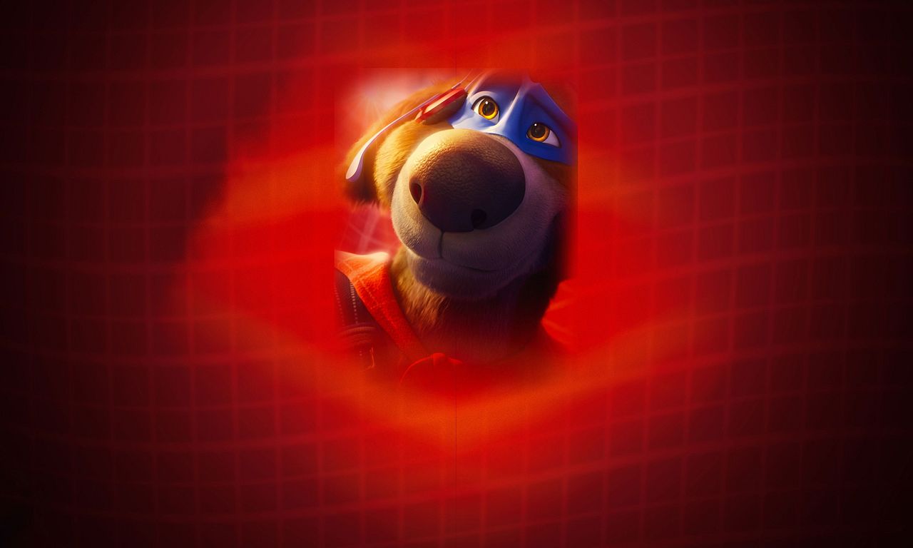 header image for Charlie the Wonderdog