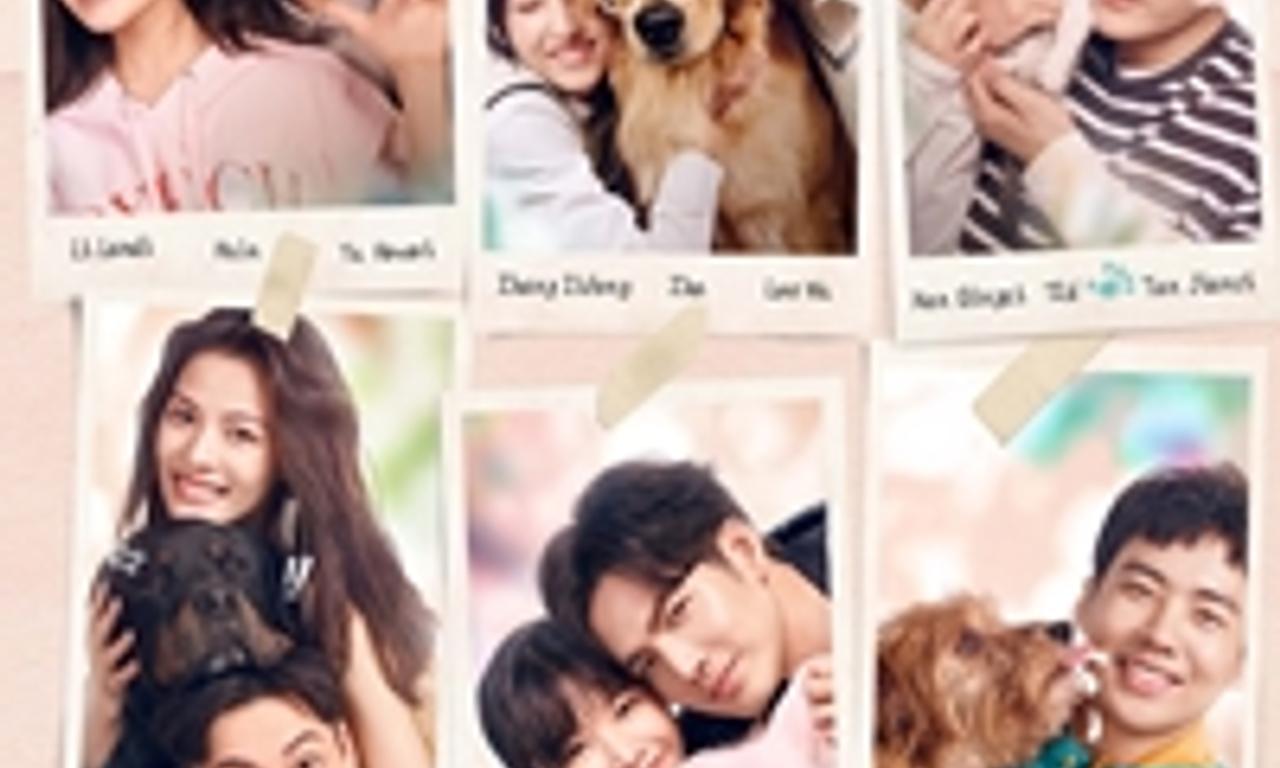 header image for Adoring