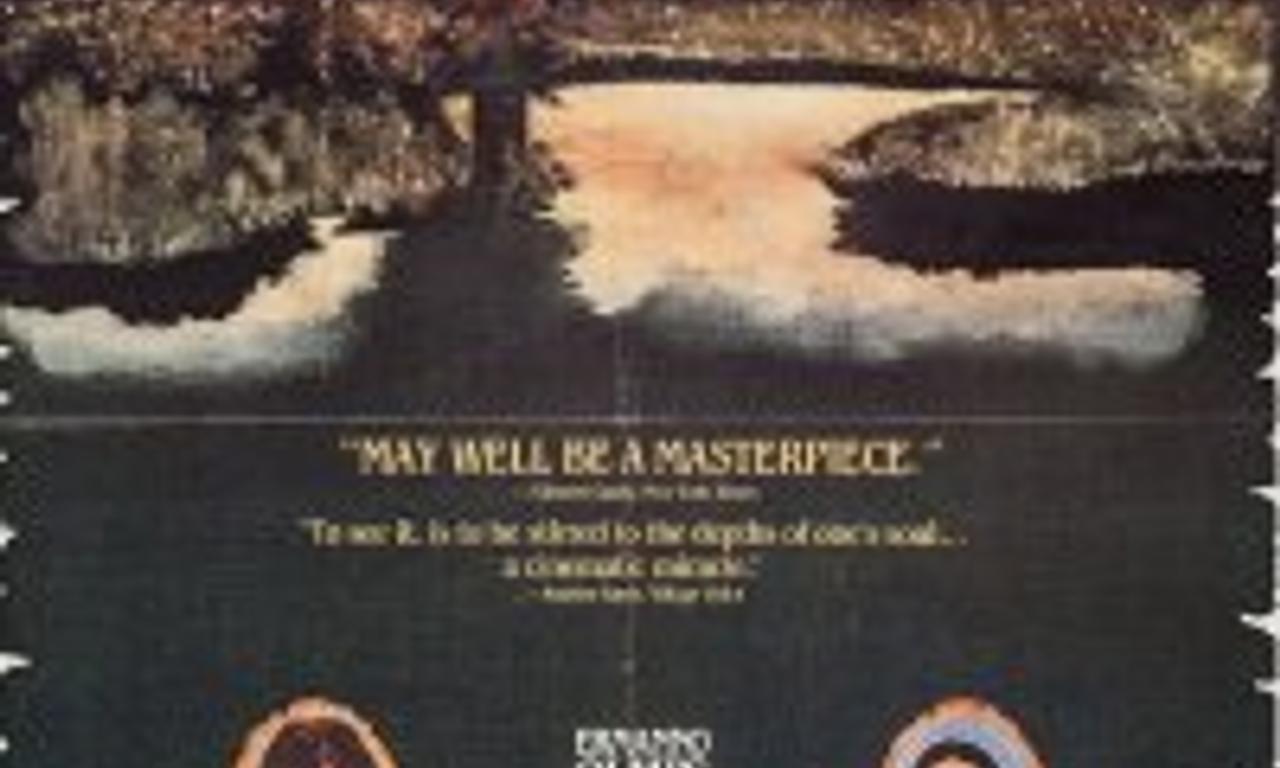 header image for The Tree of Wooden Clogs