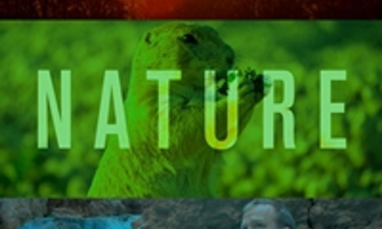 header image for The Nature Makers