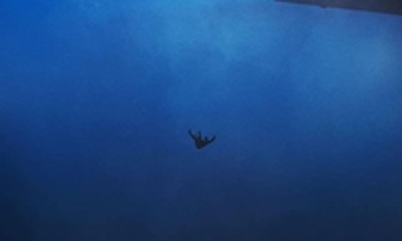 header image for The Rental