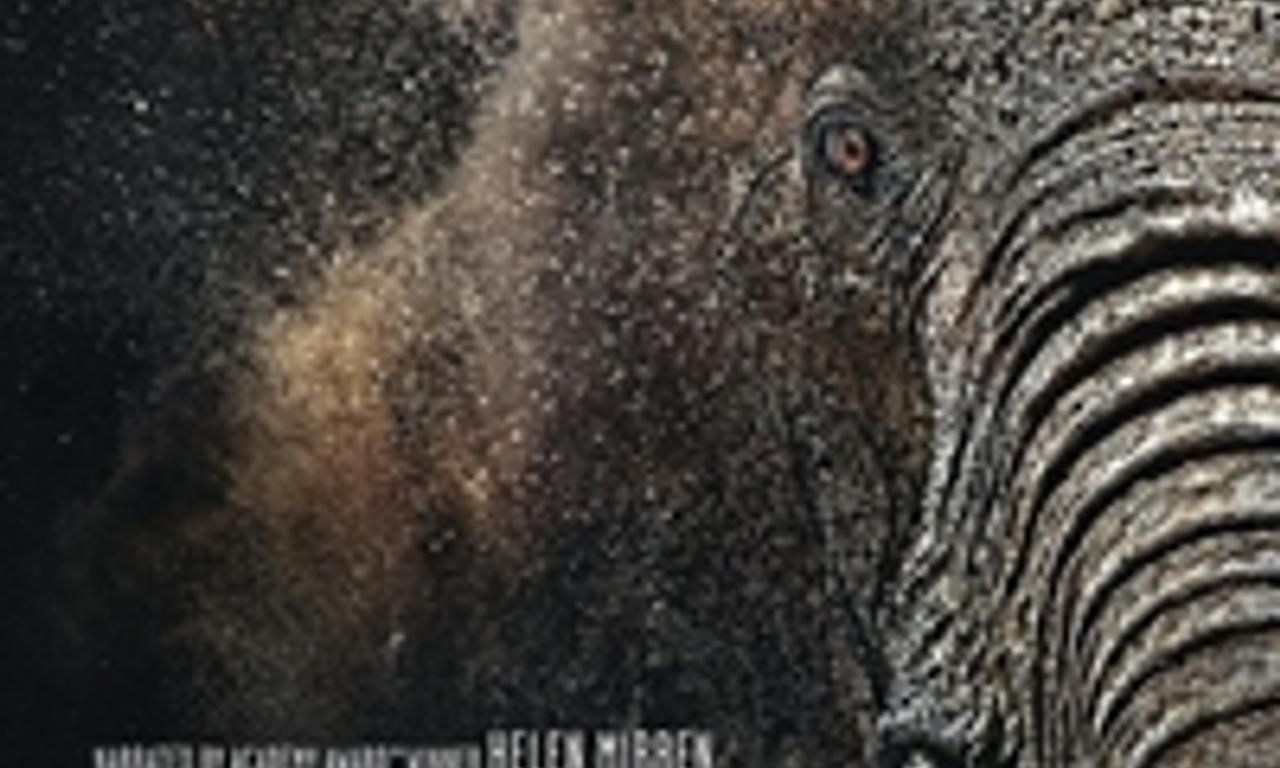 header image for Escape from Extinction