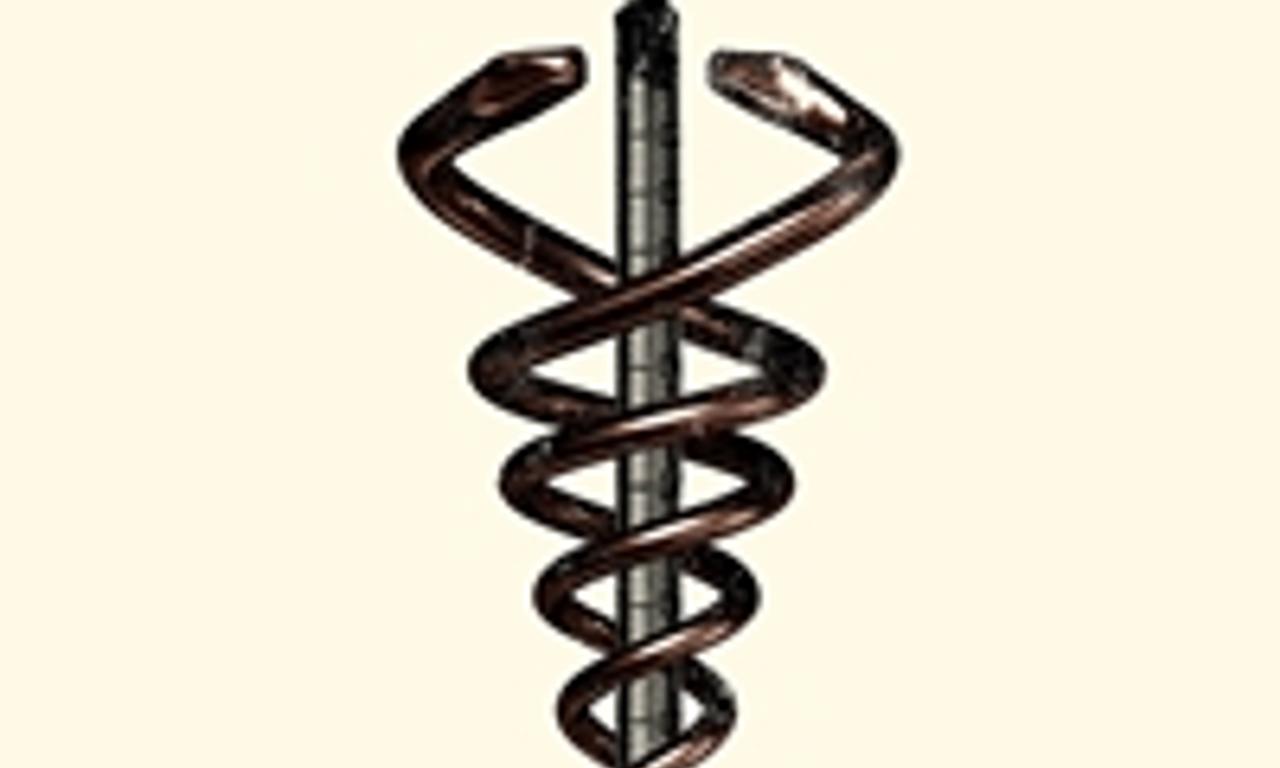 header image for Body Brokers