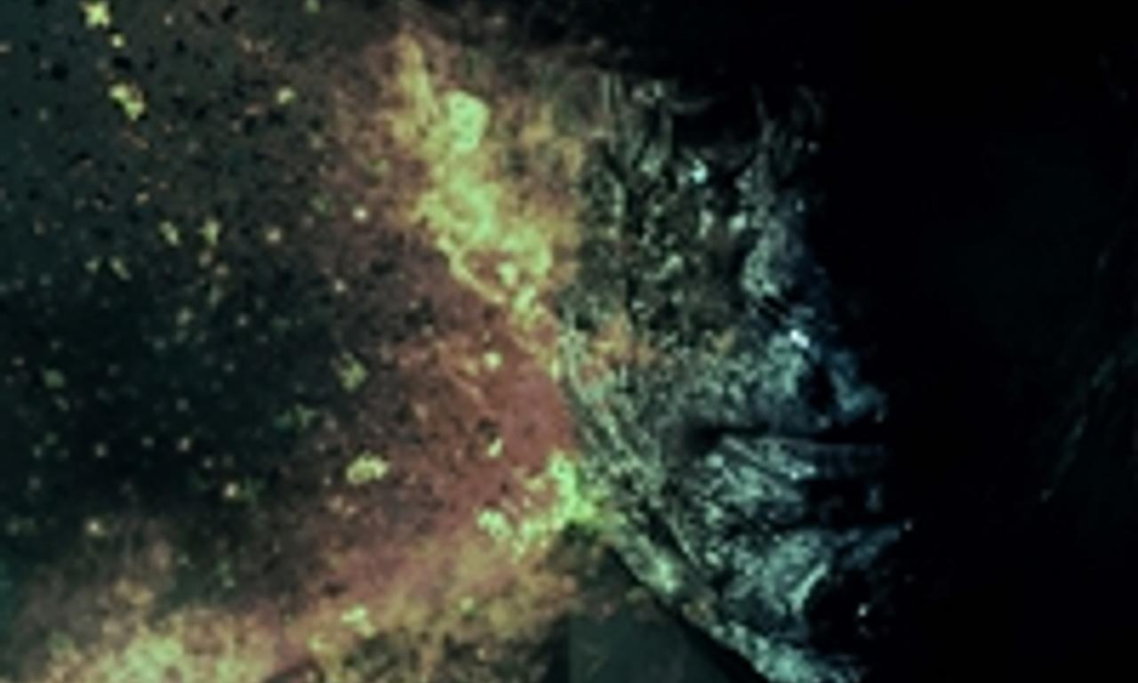 header image for The Mad Hatter