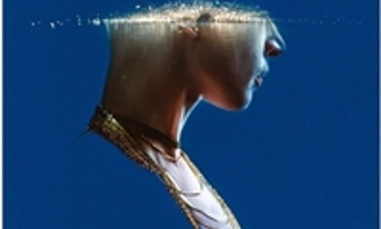 header image for The Wanting Mare