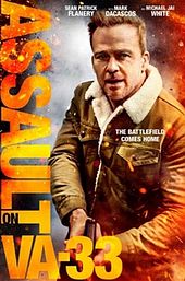 Assault on VA-33
