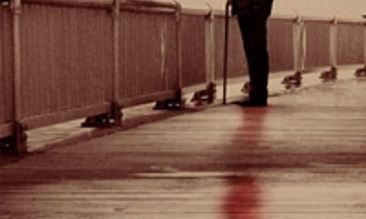 header image for Lansky