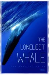 The Loneliest Whale: The Search for 52