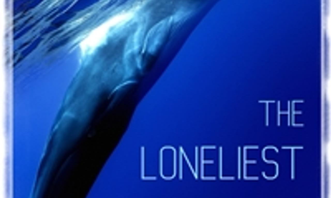 header image for The Loneliest Whale: The Search for 52