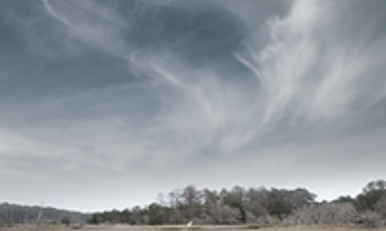 header image for Sapelo