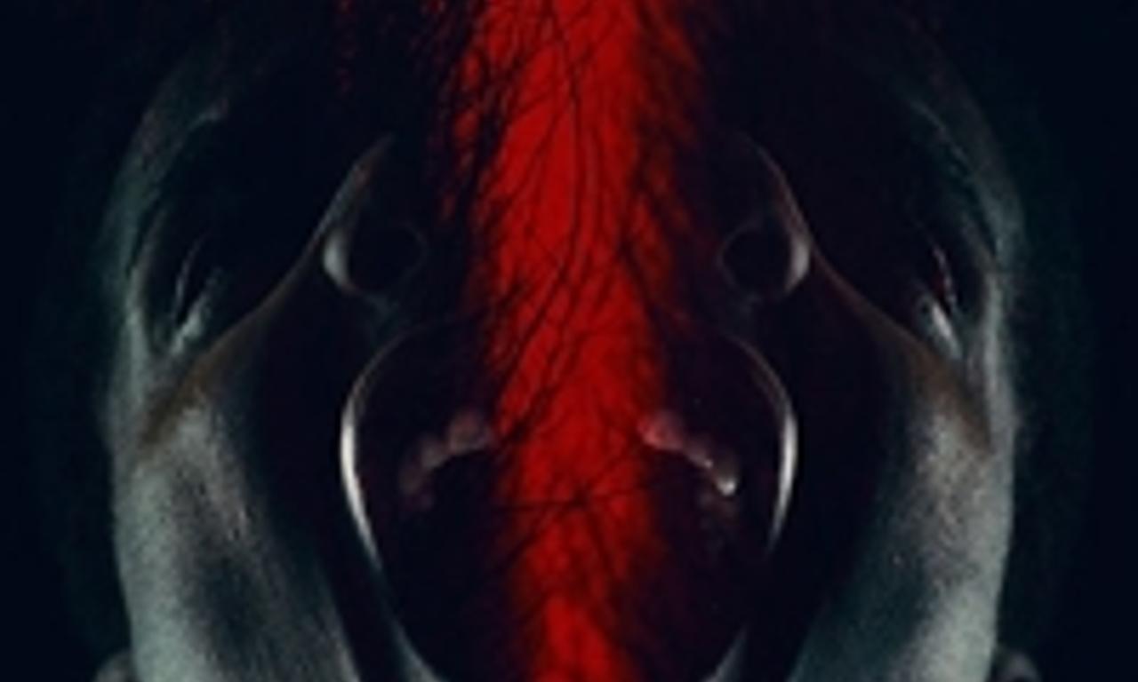 header image for Blood Conscious