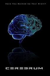 Cerebrum