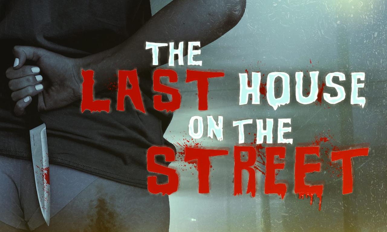 header image for The Last House on the Street