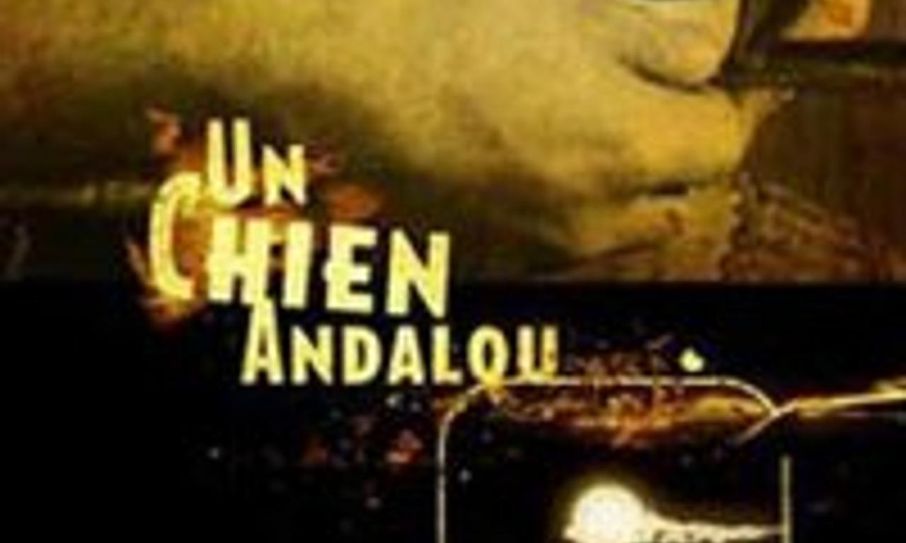 header image for Un Chien Andalou