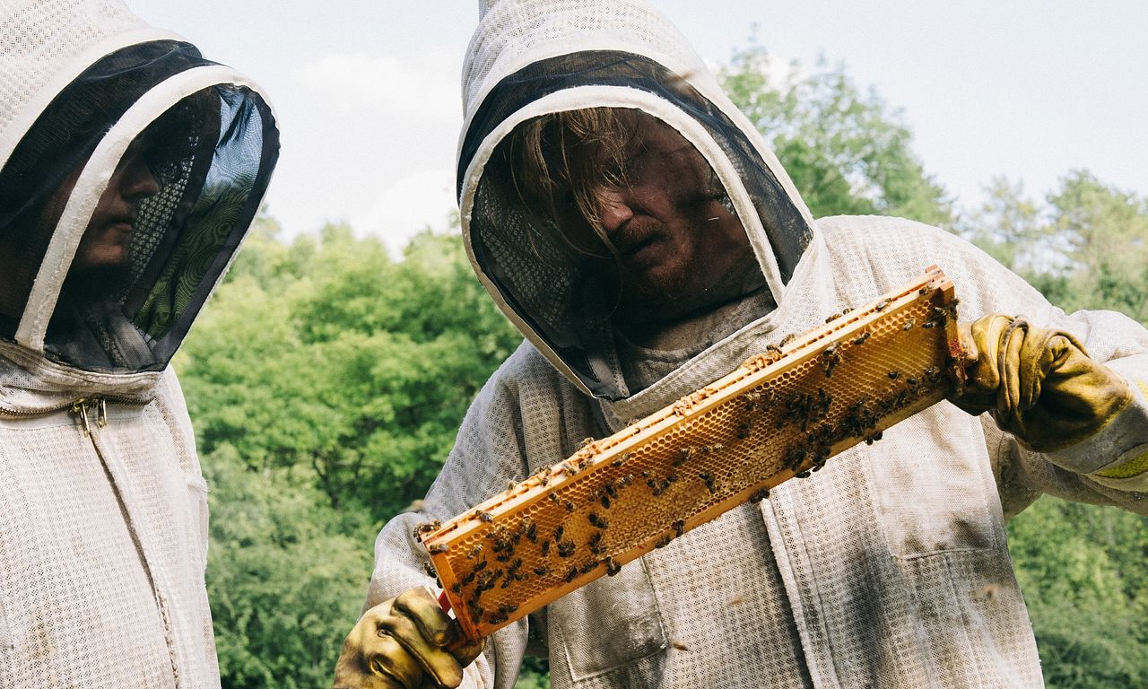 header image for Bugonia