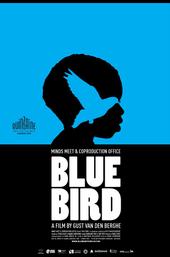 Blue Bird