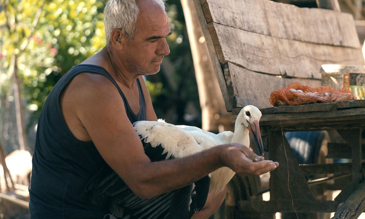 header image for The Tale of Silyan