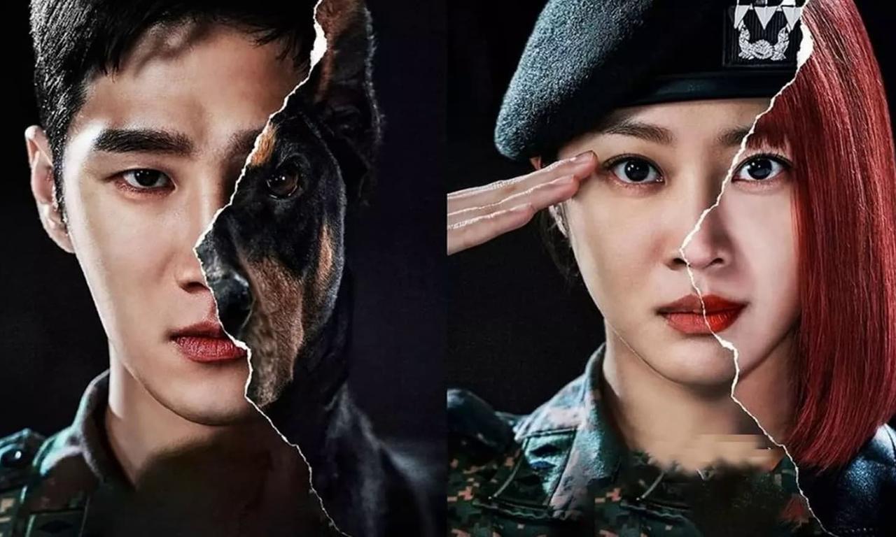 header image for Military Prosecutor Doberman