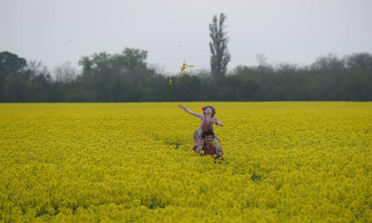 header image for Live