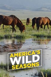 America's Wild Seasons