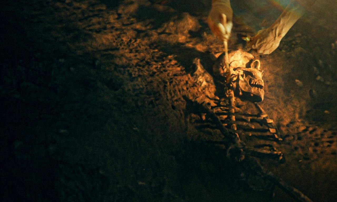 header image for Secrets of the Neanderthals