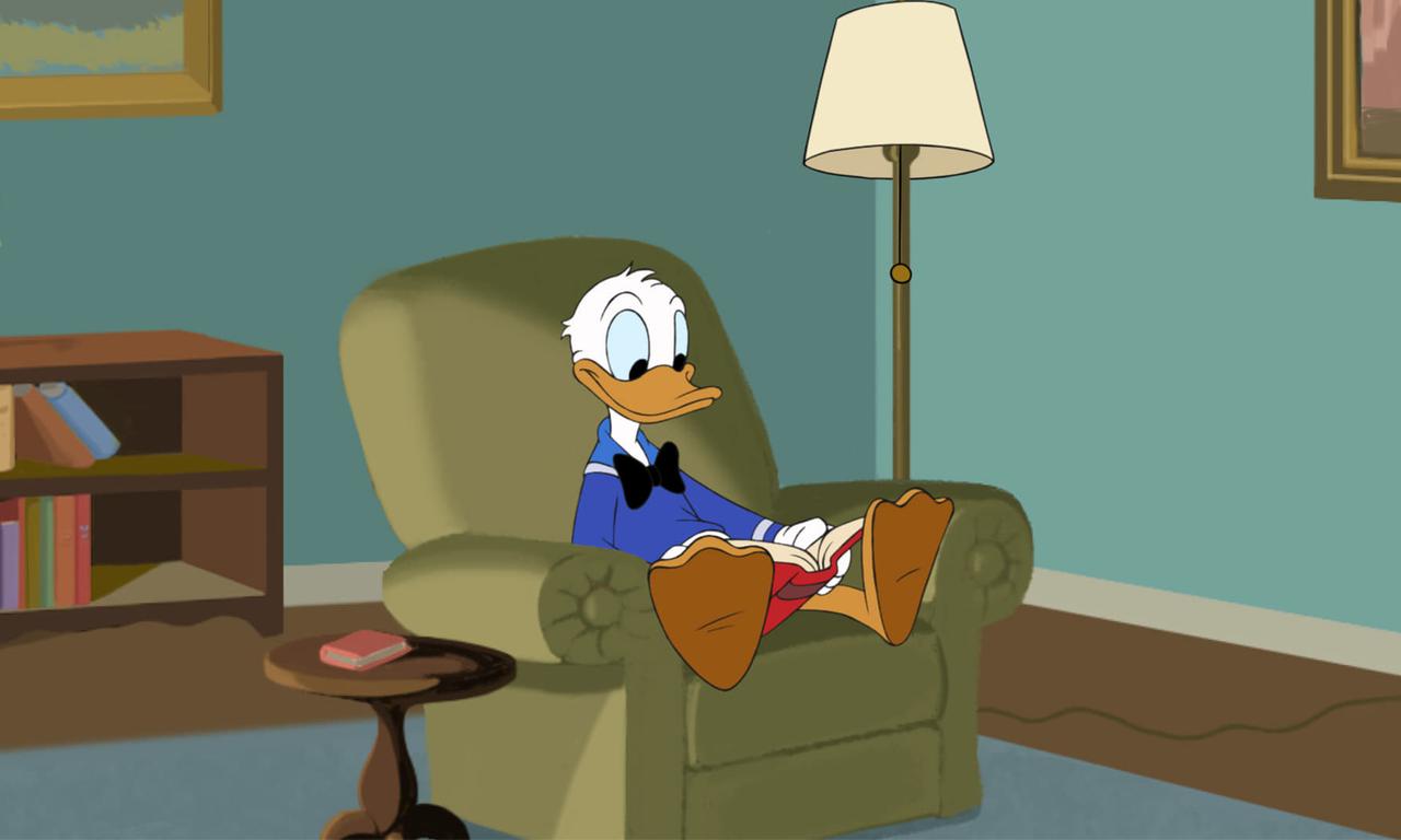 header image for D.I.Y. Duck