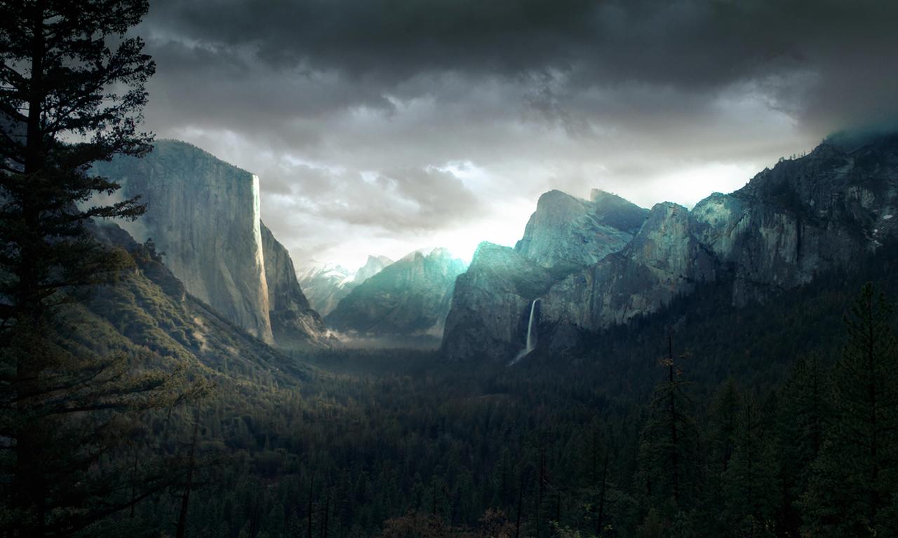 header image for Wild Crime