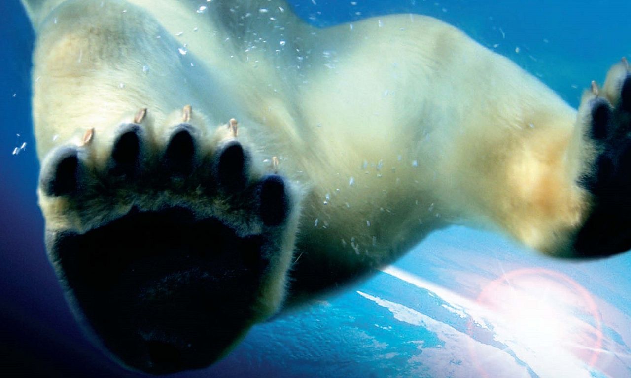 header image for Earth