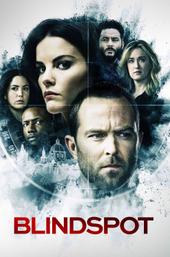 Blindspot