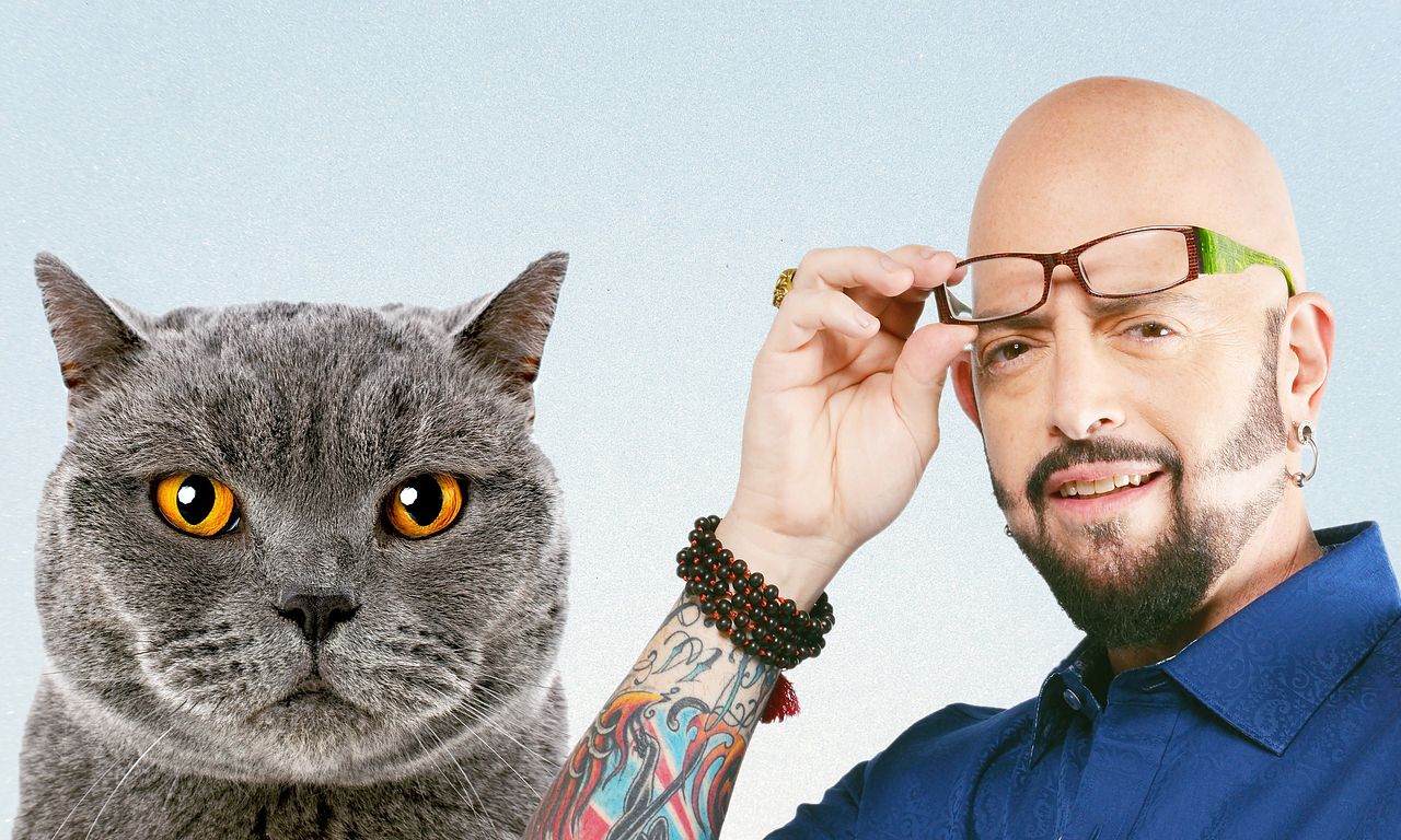 header image for My Cat from Hell